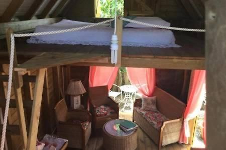 Aux Iles D'Amour Terre-De-Haut Kamer foto